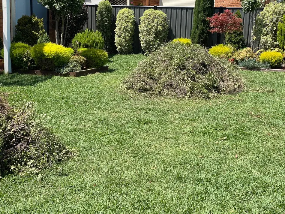 Professional rubbish and green waste removal service clearing garden debris in Newcastle